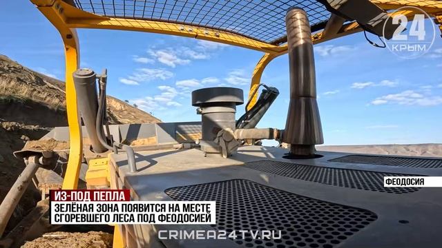 Под Феодосией приступили к восстановлению зеленой зоны на месте сгоревшего леса