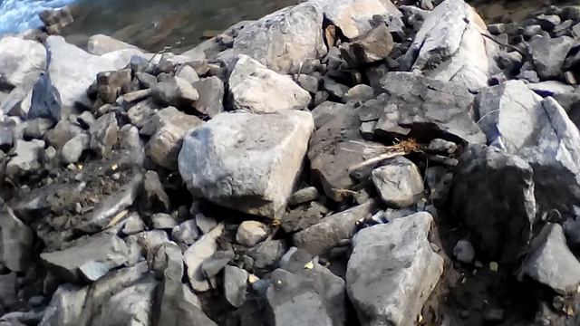 29 ноября 2015 г.