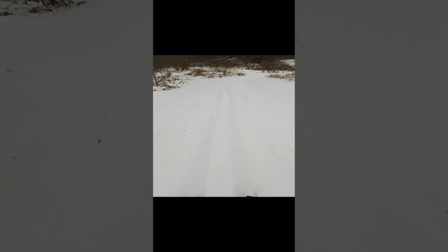 с новым годом Ягуар.mp4