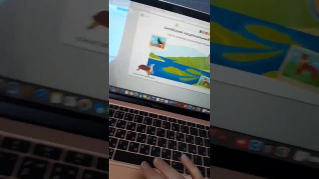 Я задрался с этим учи ру
