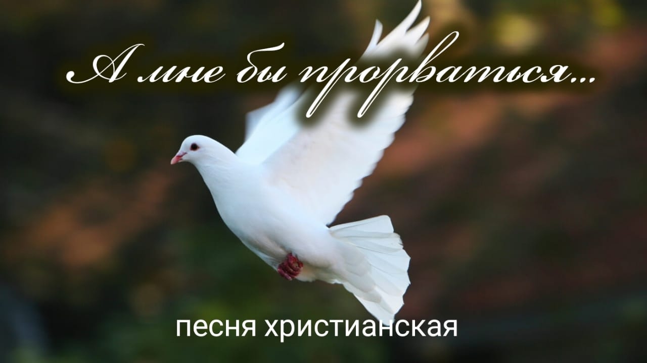 А мне бы прорваться... | христианская песня