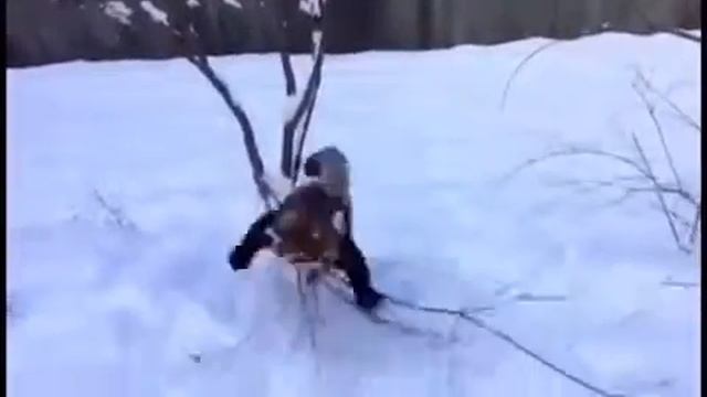 О какая прелесть