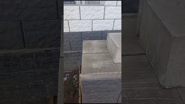1000098134.mp4