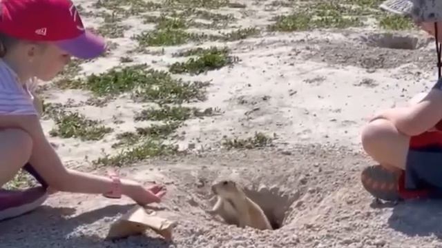 Когда не размениваешься на мелочи480P456279797.mp4