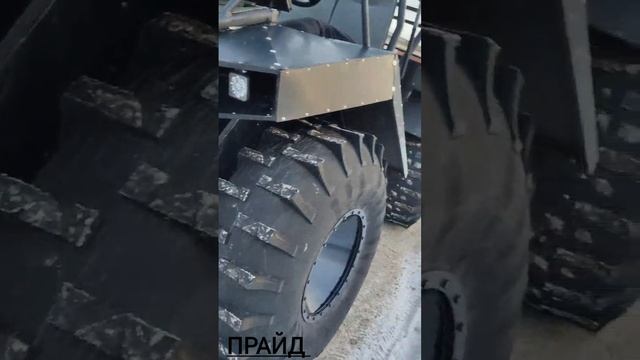 Прайд