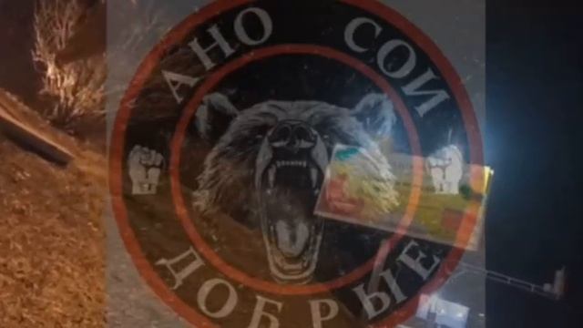 Приморский активист из ДНД "Добрые" обратил внимание общественности на незаконный елочный базар.