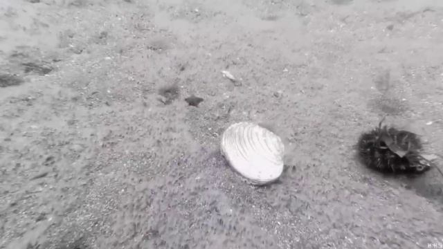 История Атлантиды (часть 1 - Начало).mp4