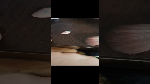 VID_20241225_132609.mp4