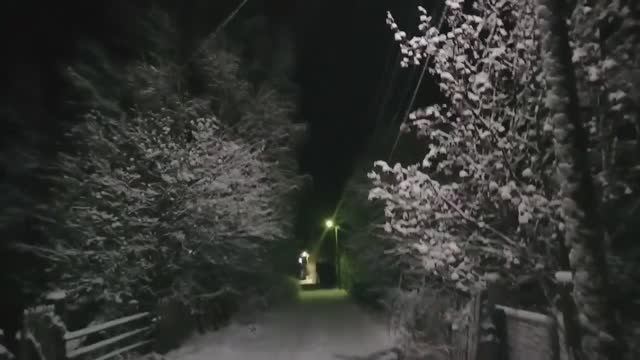 Вечерний влог из Карелии