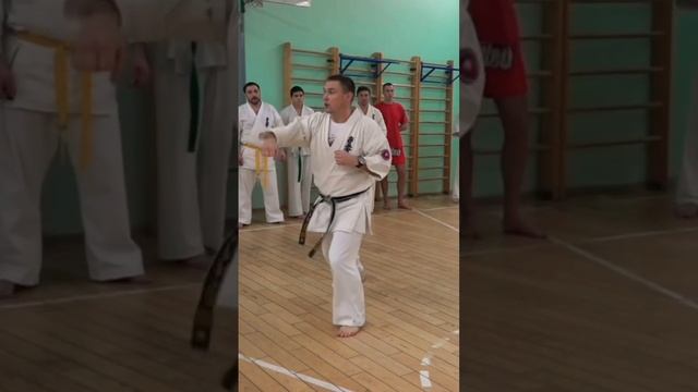 Кёкусинкай / Сихан Алексей Горохов / Важность проработки перемещений  (2016)