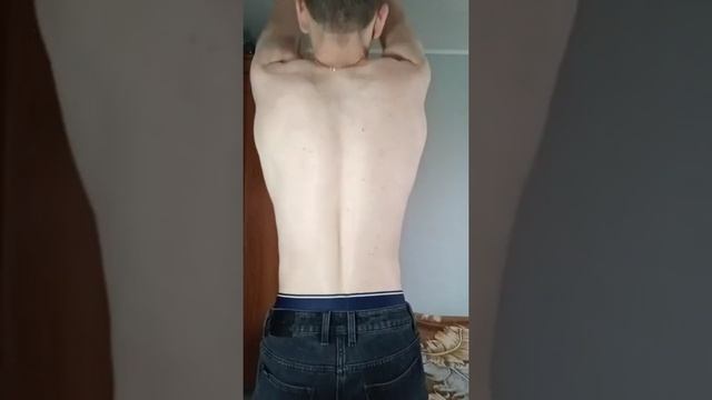 Мышцы спины