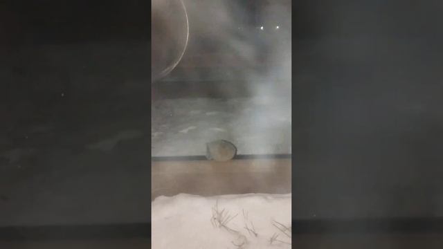 не конец перчаткам !? следующее видео должно понравиться!