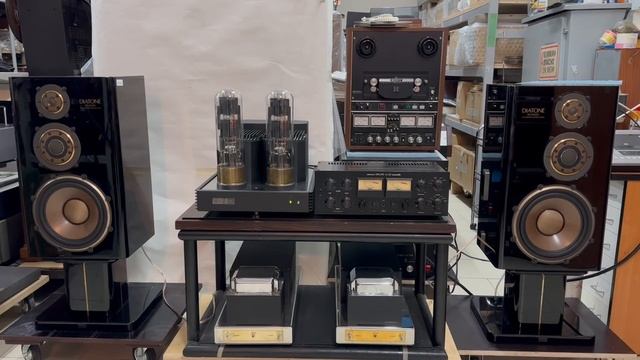 Акустика diatone DS-10000