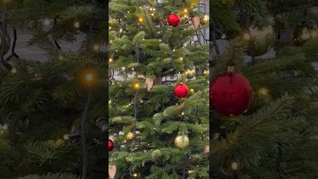 25.12.2024 в Санкте t’ +3 #санктпетербург