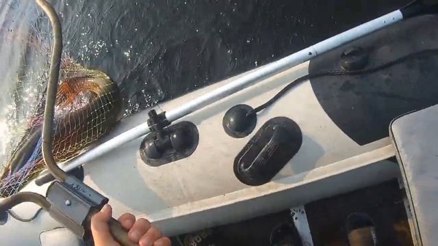 вываживание щуки на 4 кг #щука #fishing #рыбалка #automobile #рыбалкавидео