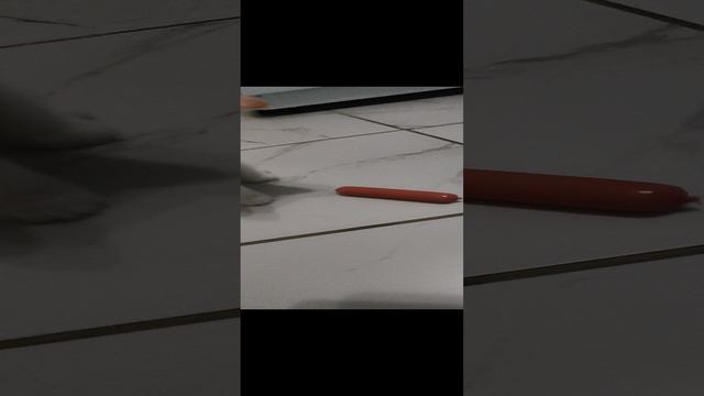 Я даю своему коту сосиску в закрытой упаковке 🤣