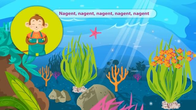 Les petits poissons dans l'eau