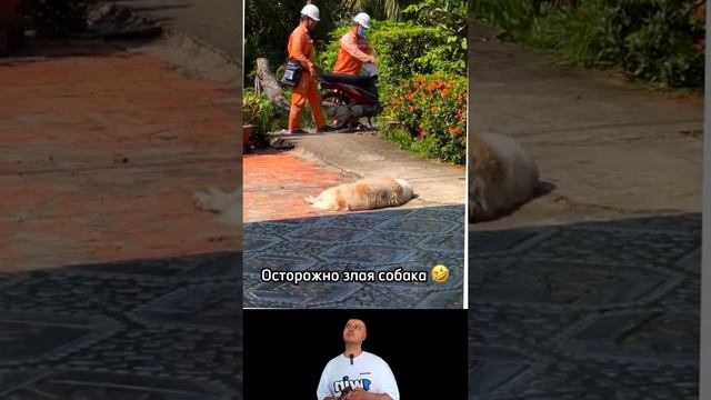 danger