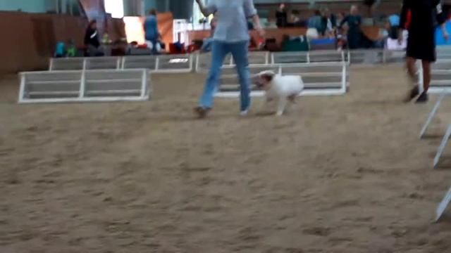 САС + Specialty. Челябинск. 20.08.2022