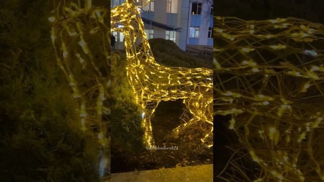 ❄️ 🦌 🎄