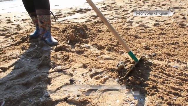 Ликвидация последствий ЧС в Керченском проливе