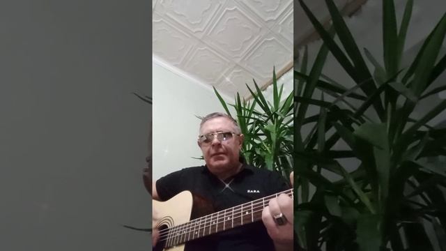 Video 20241224-01.mp4