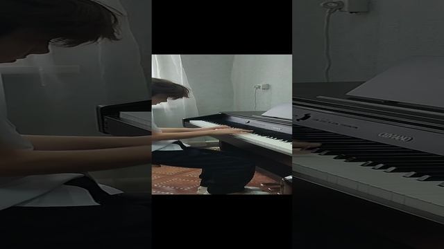 VID_20241207_113745