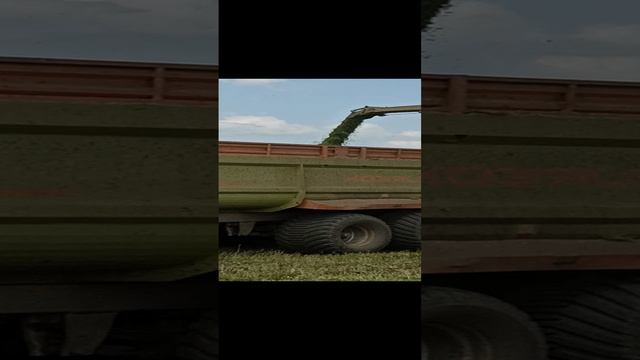 Трудовые будни механизаторов.mp4