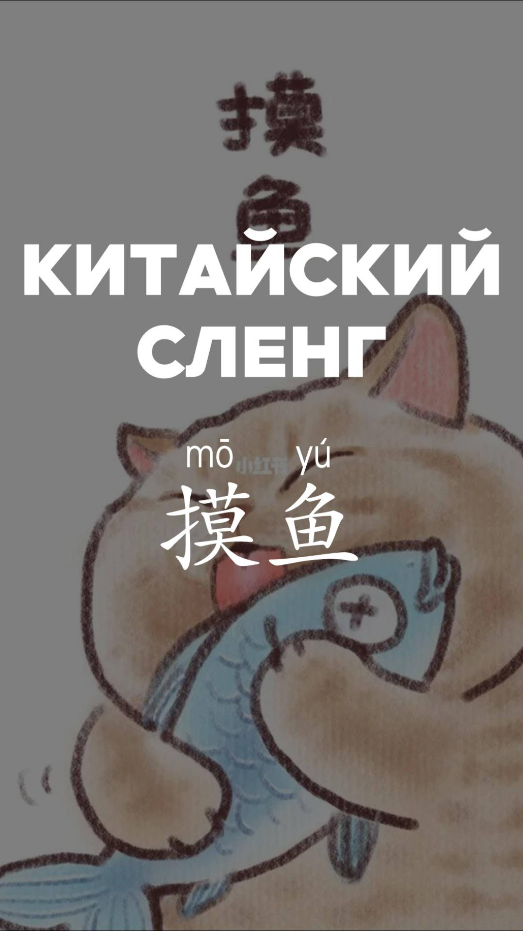 Китайский сленг:摸鱼
