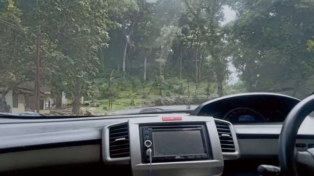 POV Honda Freed PSD