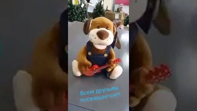 Дружна