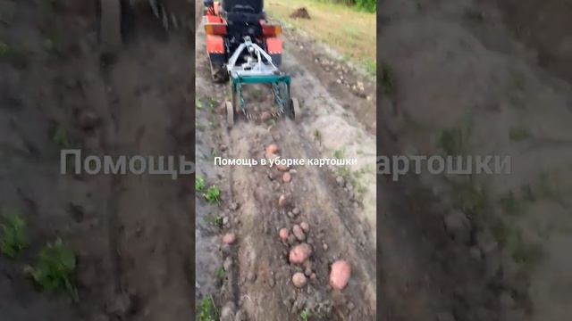 9 сентября 2023 г.