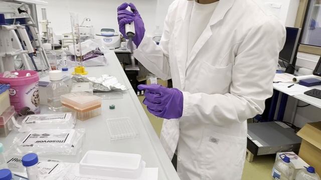 Изучение окрашивания эндоплазматического ретикулума в рамках освоения технологии Cell Painting