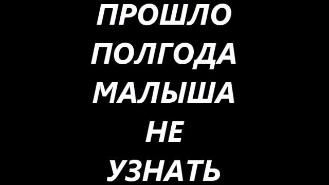 МАНЧКИН КОТЕНОК КАК МЕНЯЕТСЯ ОКРАС С ВОЗРАСТОМ. Из светлого котенка, в шоколадного котенка.