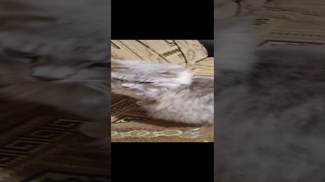 ПОДПИШИТЕСЬ!!!