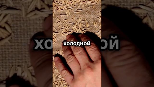 Отвар из семян овса натуральное средство для печени