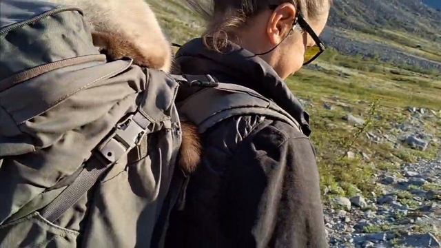 КОРОТКОЛАПЫЙ КОТ ПРИЛИП К РЮКЗАКУ, НЕОБЫЧНЫЙ ТУРИСТ.