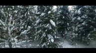 Тизер 3