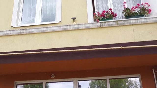 _г.Зеленоградск, Калининградскай обл.