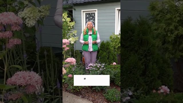 🌱 Революция в Земледелии: Секреты Природного Подхода 🌿