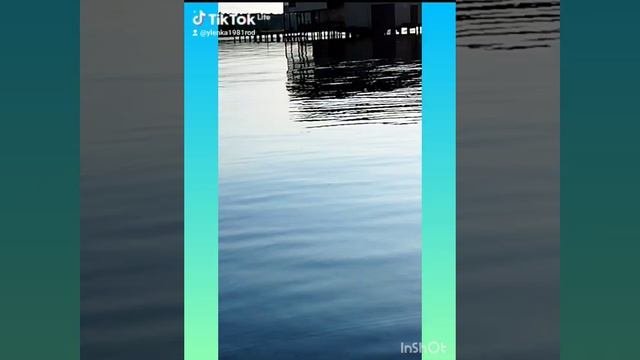 иваньковское водахранилище отдых
