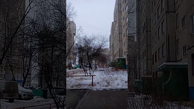scene_output.mp4