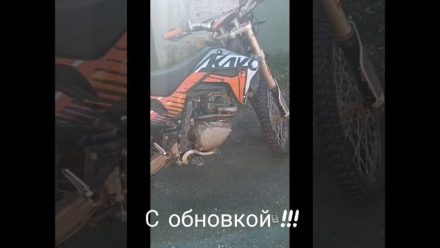 Мот кайот