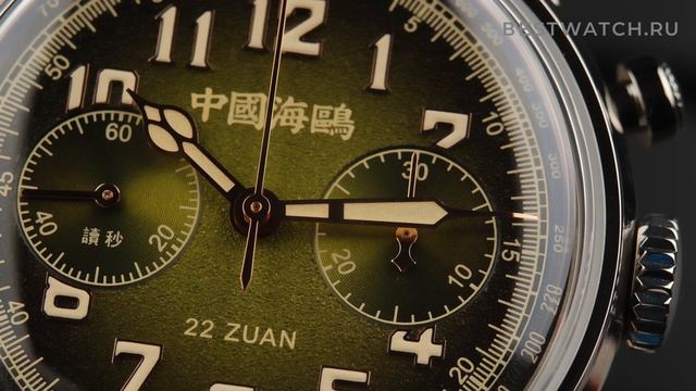 Часы Seagull Journey Series Wind Chasing Multifunctional Pilot - купить на Bestwatch.ru