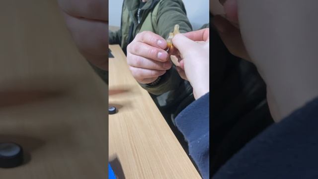 2_5429204735091565608.MOV