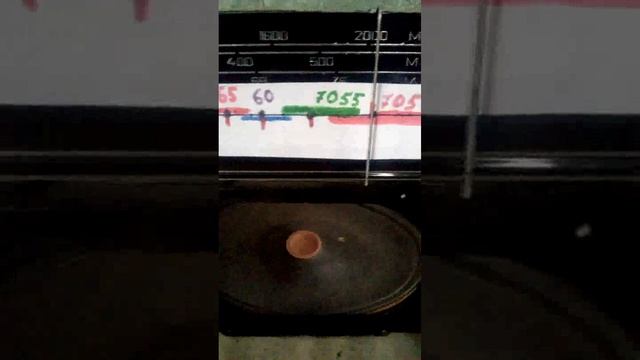 TSY Победа 7_Pro