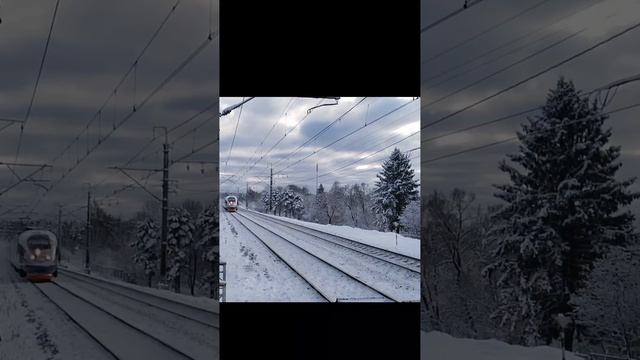 Эдит не мой!