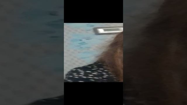 1000000448.mp4