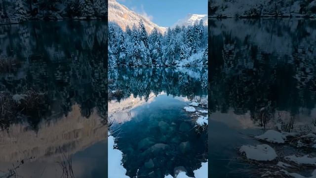 1000101014.mp4