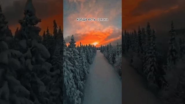 Новогодняя аффирмация✨